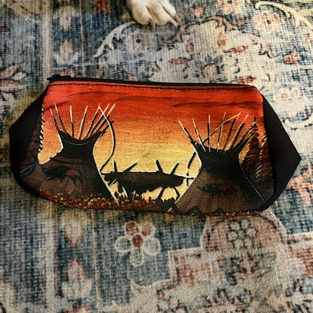 Snazzy little purse for your bigger purse or just a cool AZ makeup bag…Sweet bag